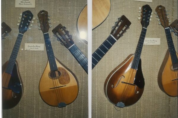 dale cameron guitars-022